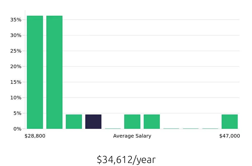 Graph depicting the yearly salary distribution for Team Member jobs in Dorchester, MA, showing an average salary of $34,612 with varying distribution percentages across salary ranges.
