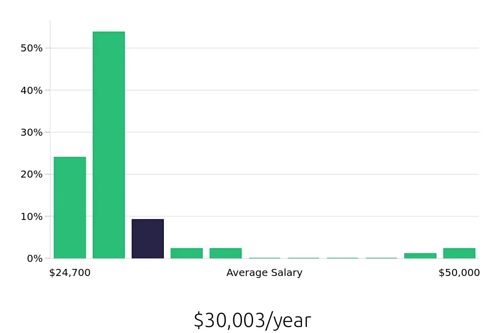 Graph depicting the yearly salary distribution for Team Member jobs in Dover, DE, showing an average salary of $30,003 with varying distribution percentages across salary ranges.