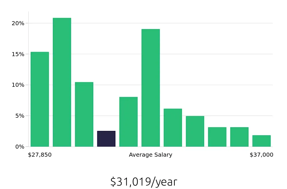 Graph depicting the yearly salary distribution for Team Member jobs in Dover, NH, showing an average salary of $31,019 with varying distribution percentages across salary ranges.