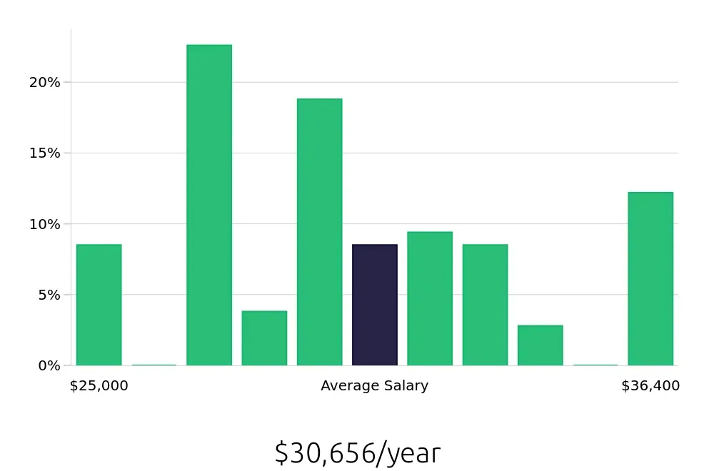 Graph depicting the yearly salary distribution for Team Member jobs in Elizabeth, NJ, showing an average salary of $30,656 with varying distribution percentages across salary ranges.