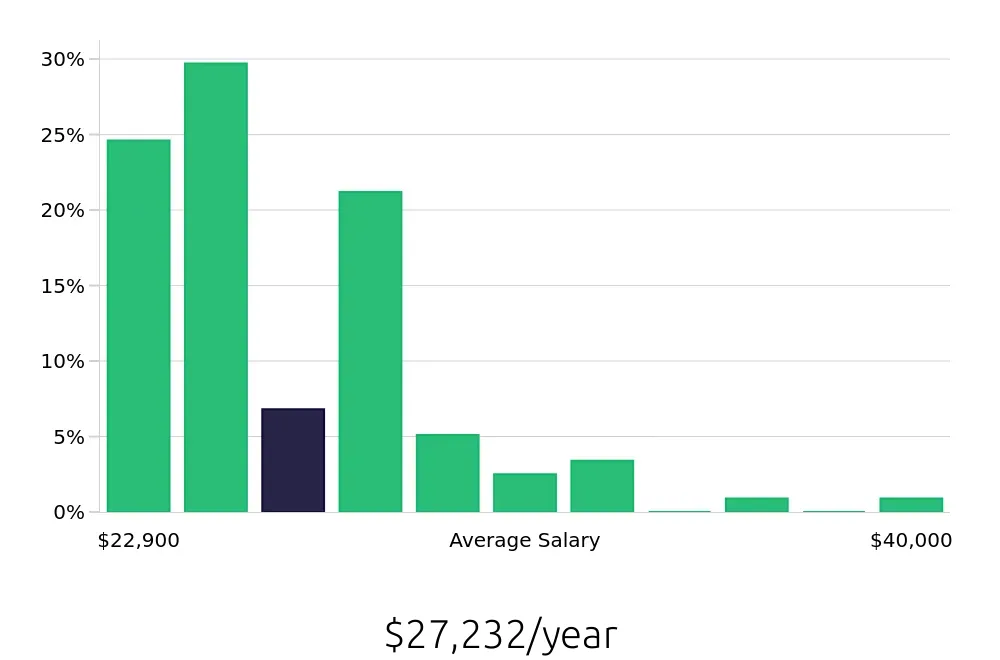 Graph depicting the yearly salary distribution for Team Member jobs in Elyria, OH, showing an average salary of $27,232 with varying distribution percentages across salary ranges.