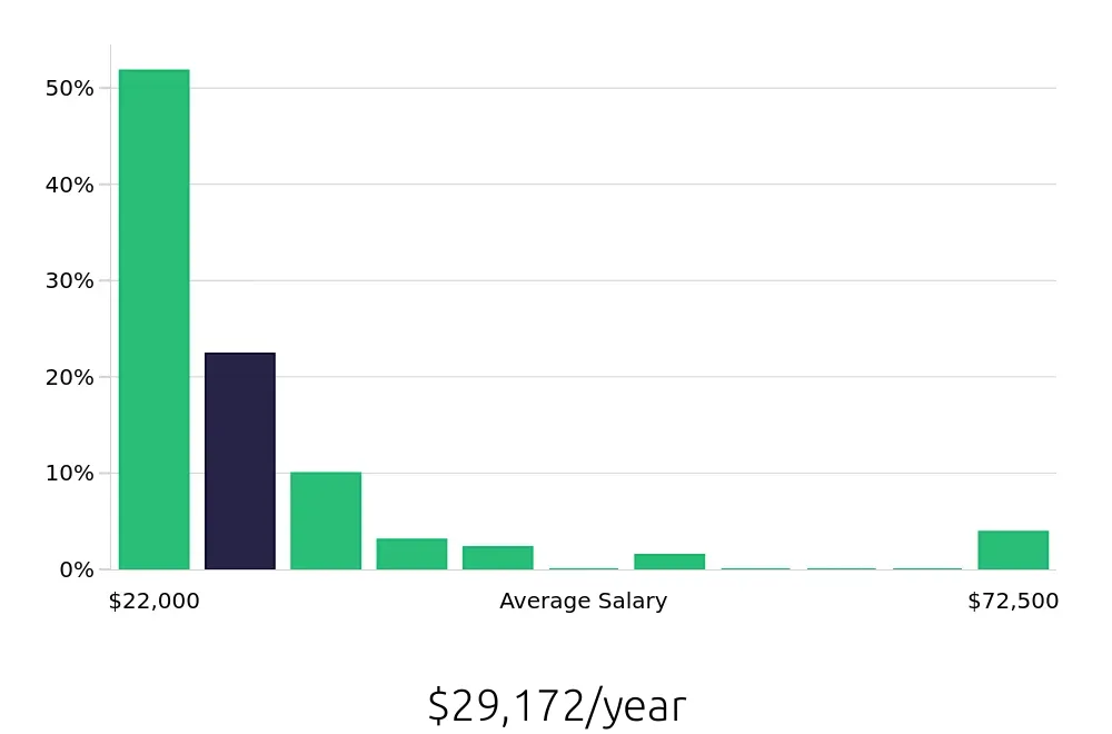 Graph depicting the yearly salary distribution for Team Member jobs in Georgetown, KY, showing an average salary of $29,172 with varying distribution percentages across salary ranges.