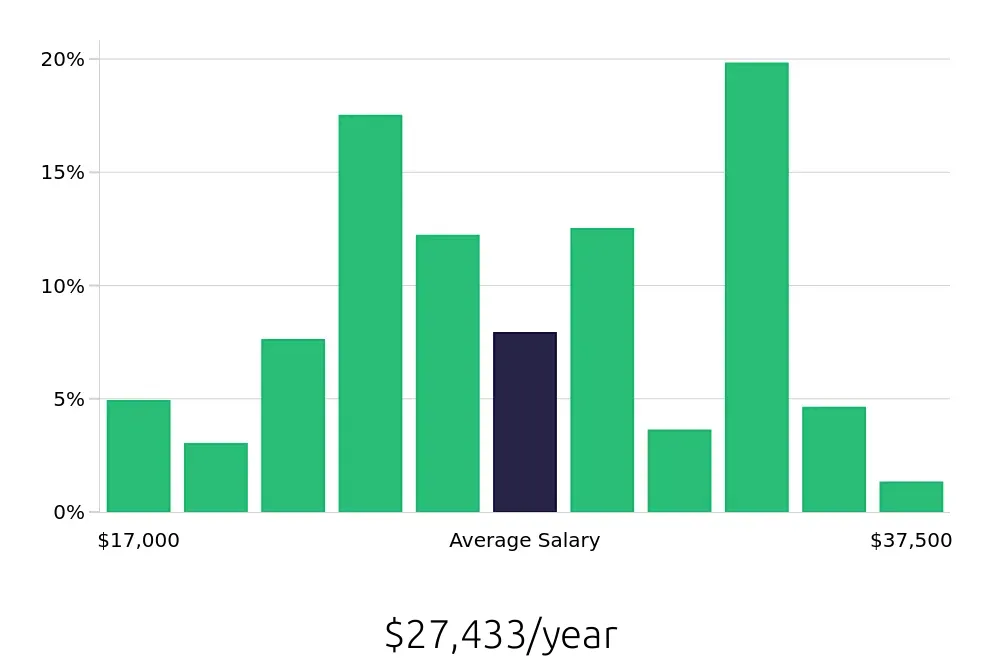 Graph depicting the yearly salary distribution for Team Member jobs in Georgetown, TX, showing an average salary of $27,433 with varying distribution percentages across salary ranges.