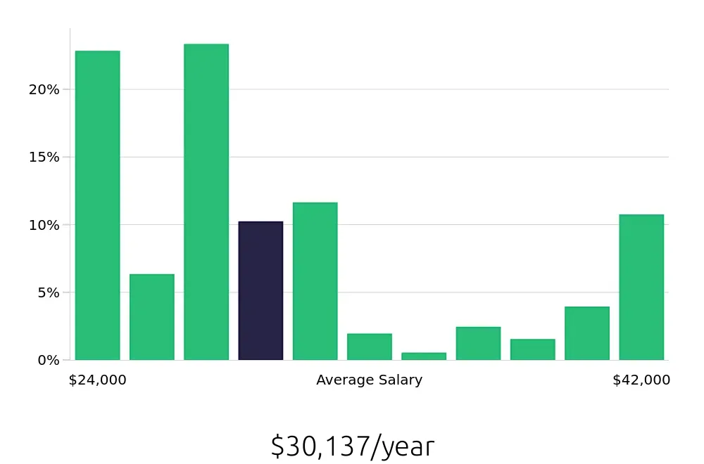 Graph depicting the yearly salary distribution for Team Member jobs in Grand Island, NE, showing an average salary of $30,137 with varying distribution percentages across salary ranges.