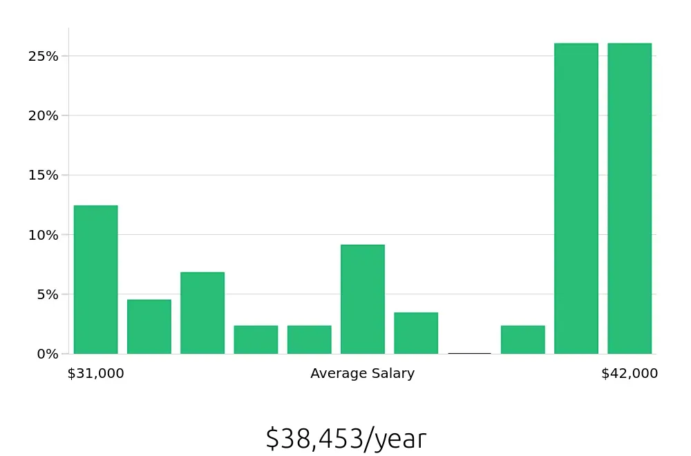 Graph depicting the yearly salary distribution for Team Member jobs in Hemet, CA, showing an average salary of $38,453 with varying distribution percentages across salary ranges.