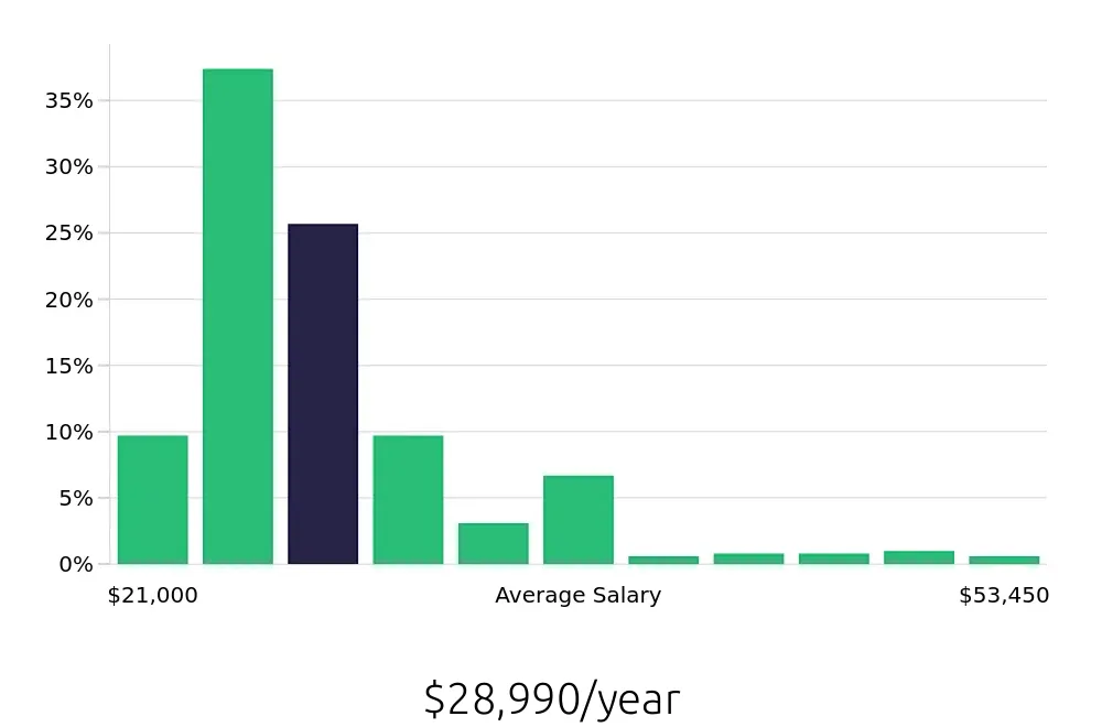 Graph depicting the yearly salary distribution for Team Member jobs in Henderson, NV, showing an average salary of $28,990 with varying distribution percentages across salary ranges.