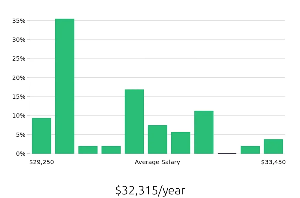 Graph depicting the yearly salary distribution for Team Member jobs in Holyoke, MA, showing an average salary of $32,315 with varying distribution percentages across salary ranges.