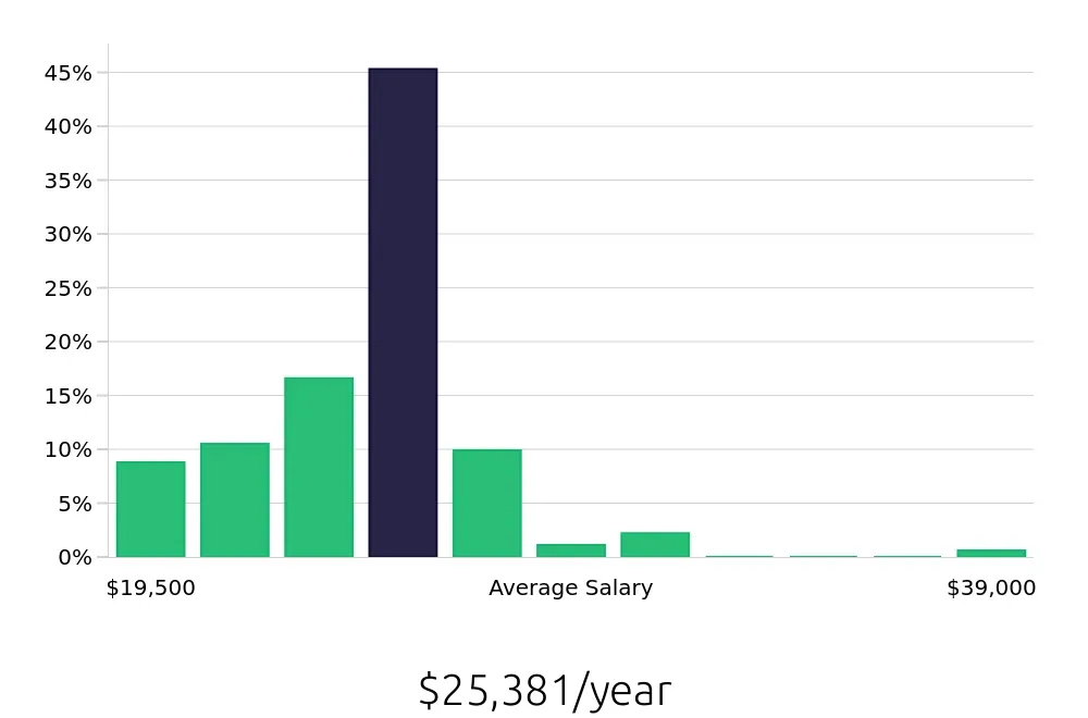 Graph depicting the yearly salary distribution for Team Member jobs in Hurst, TX, showing an average salary of $25,381 with varying distribution percentages across salary ranges.
