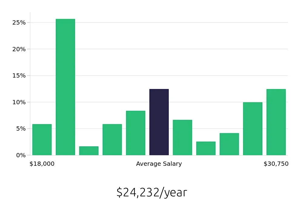 Graph depicting the yearly salary distribution for Team Member jobs in Irmo, SC, showing an average salary of $24,232 with varying distribution percentages across salary ranges.