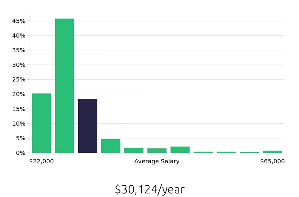 Graph depicting the yearly salary distribution for Team Member jobs in Lincoln, NE, showing an average salary of $30,124 with varying distribution percentages across salary ranges.