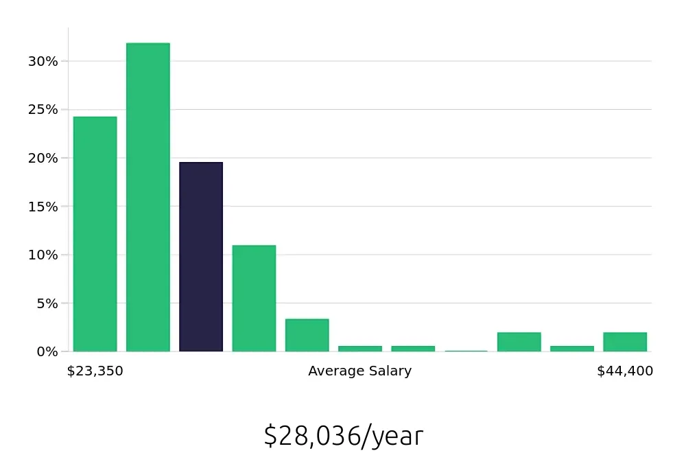 Graph depicting the yearly salary distribution for Team Member jobs in Lynchburg, VA, showing an average salary of $28,036 with varying distribution percentages across salary ranges.