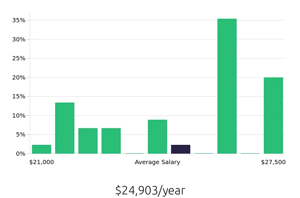 Graph depicting the yearly salary distribution for Team Member jobs in Mount Airy, NC, showing an average salary of $24,903 with varying distribution percentages across salary ranges.