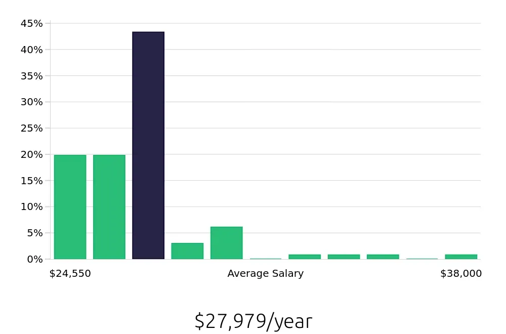 Graph depicting the yearly salary distribution for Team Member jobs in New Berlin, WI, showing an average salary of $27,979 with varying distribution percentages across salary ranges.