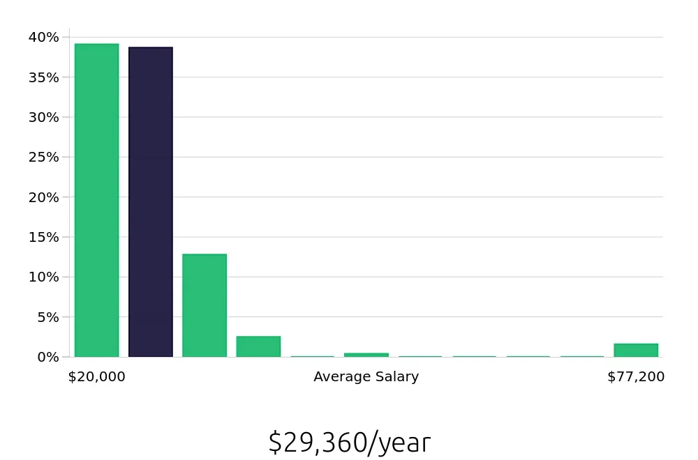Graph depicting the yearly salary distribution for Team Member jobs in New Braunfels, TX, showing an average salary of $29,360 with varying distribution percentages across salary ranges.