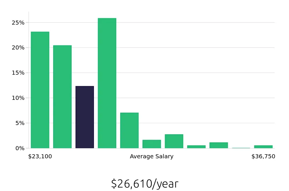 Graph depicting the yearly salary distribution for Team Member jobs in New Port Richey, FL, showing an average salary of $26,610 with varying distribution percentages across salary ranges.