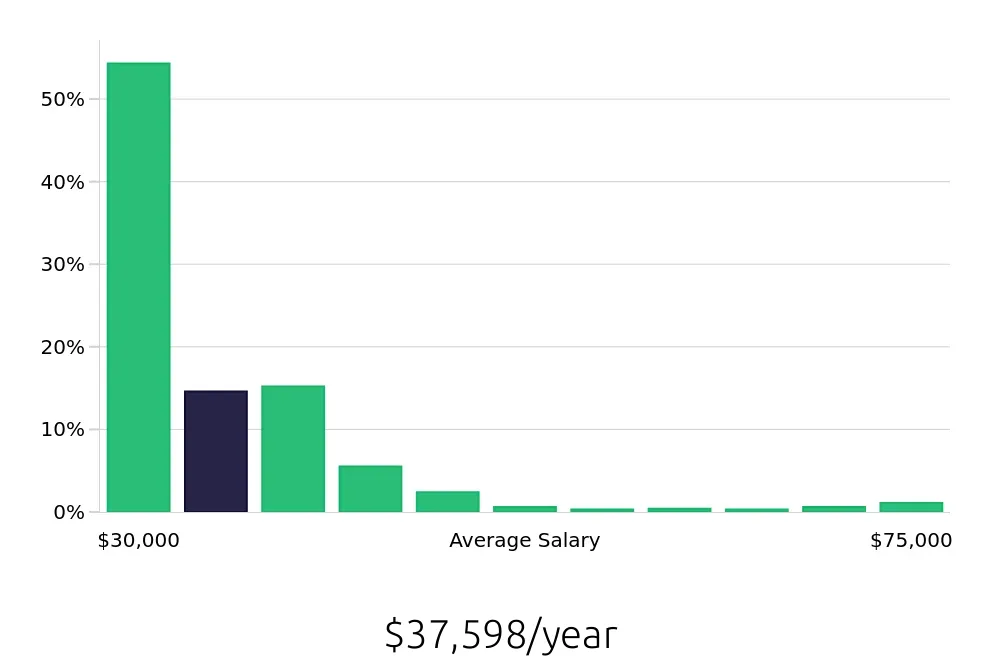Graph depicting the yearly salary distribution for Team Member jobs in New York, NY, showing an average salary of $37,598 with varying distribution percentages across salary ranges.