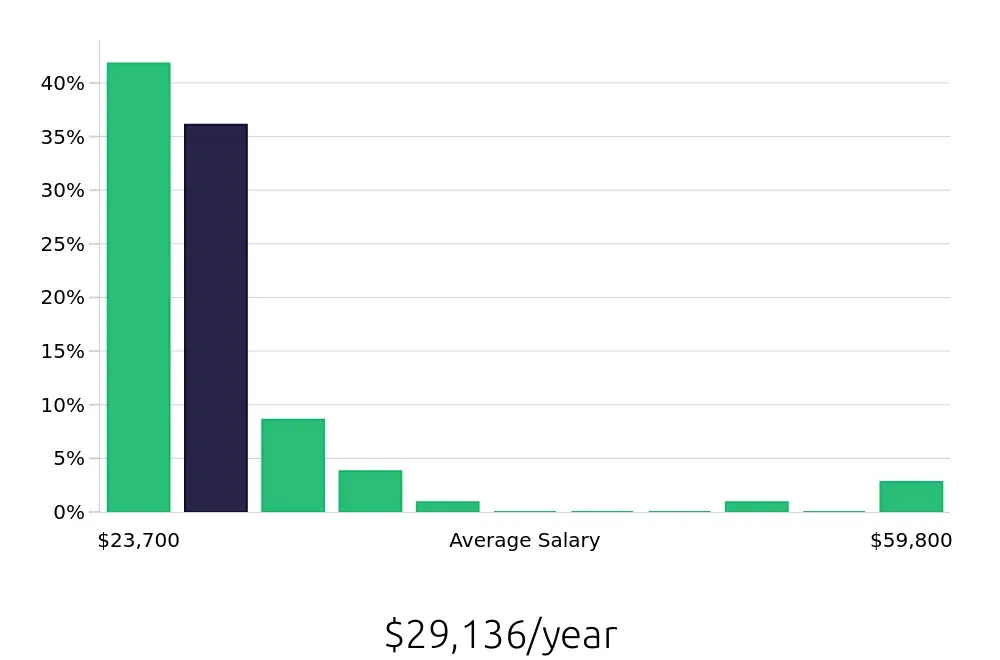 Graph depicting the yearly salary distribution for Team Member jobs in North Port, FL, showing an average salary of $29,136 with varying distribution percentages across salary ranges.
