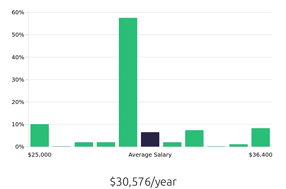 Graph depicting the yearly salary distribution for Team Member jobs in Paterson, NJ, showing an average salary of $30,576 with varying distribution percentages across salary ranges.