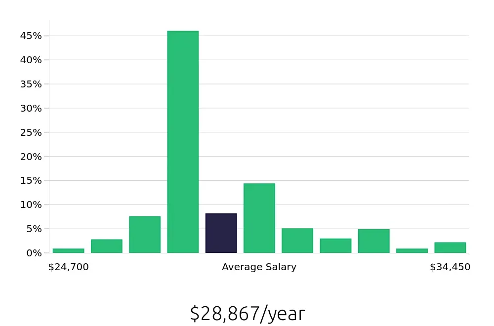 Graph depicting the yearly salary distribution for Team Member jobs in Rapid City, SD, showing an average salary of $28,867 with varying distribution percentages across salary ranges.