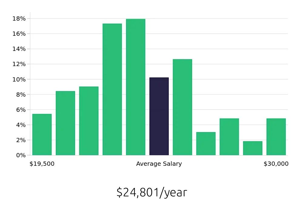 Graph depicting the yearly salary distribution for Team Member jobs in Rome, GA, showing an average salary of $24,801 with varying distribution percentages across salary ranges.