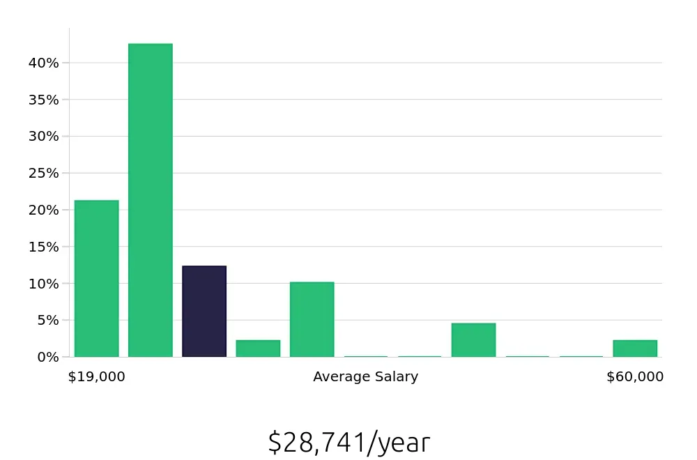 Graph depicting the yearly salary distribution for Team Member jobs in Sandy Springs, GA, showing an average salary of $28,741 with varying distribution percentages across salary ranges.