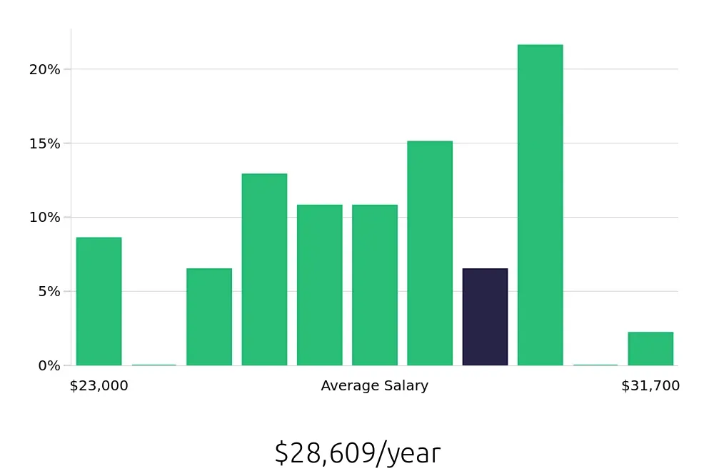 Graph depicting the yearly salary distribution for Team Member jobs in Valrico, FL, showing an average salary of $28,609 with varying distribution percentages across salary ranges.