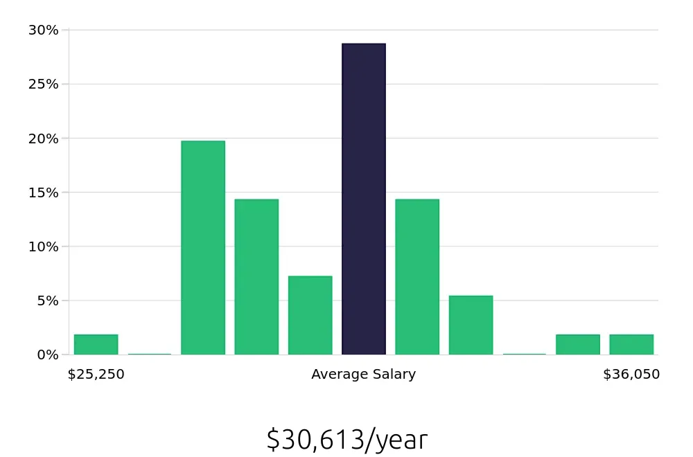 Graph depicting the yearly salary distribution for Team Member jobs in Vineland, NJ, showing an average salary of $30,613 with varying distribution percentages across salary ranges.