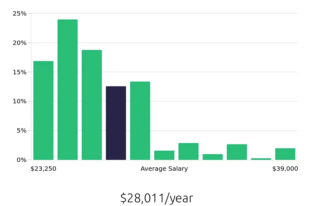 Graph depicting the yearly salary distribution for Team Member jobs in Warren, MI, showing an average salary of $28,011 with varying distribution percentages across salary ranges.