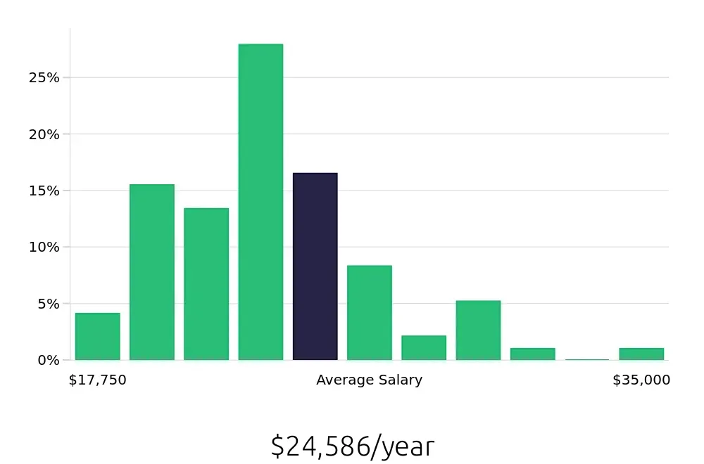 Graph depicting the yearly salary distribution for Team Member jobs in Webster, TX, showing an average salary of $24,586 with varying distribution percentages across salary ranges.