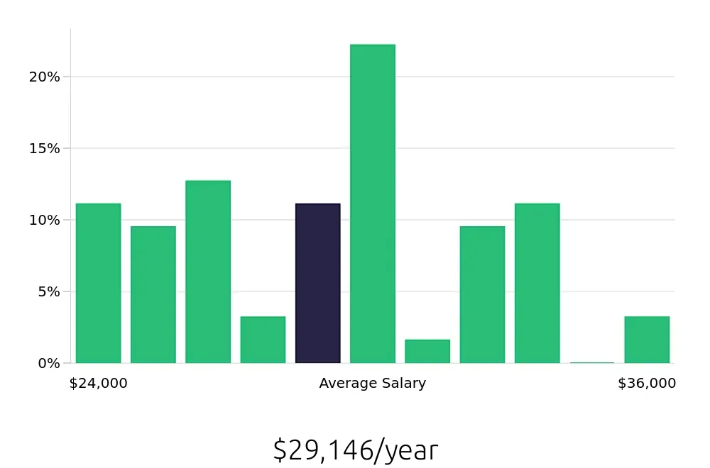 Graph depicting the yearly salary distribution for Team Member jobs in Zionsville, IN, showing an average salary of $29,146 with varying distribution percentages across salary ranges.