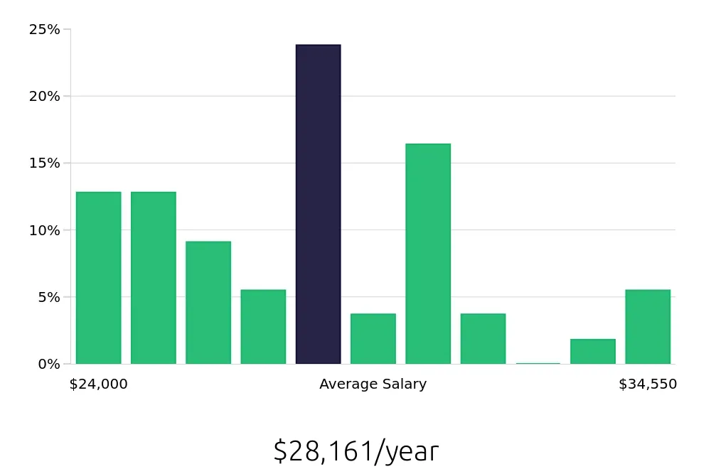 Graph depicting the yearly salary distribution for To Go Specialist jobs in Christiansburg, VA, showing an average salary of $28,161 with varying distribution percentages across salary ranges.
