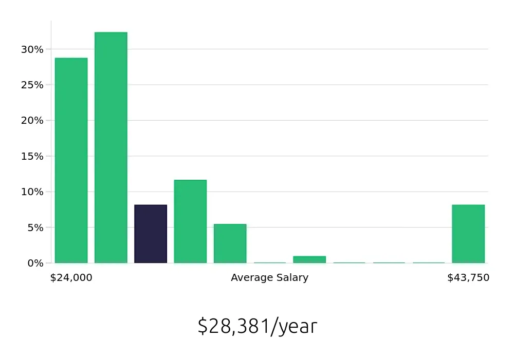 Graph depicting the yearly salary distribution for To Go Specialist jobs in Pittsburgh, PA, showing an average salary of $28,381 with varying distribution percentages across salary ranges.