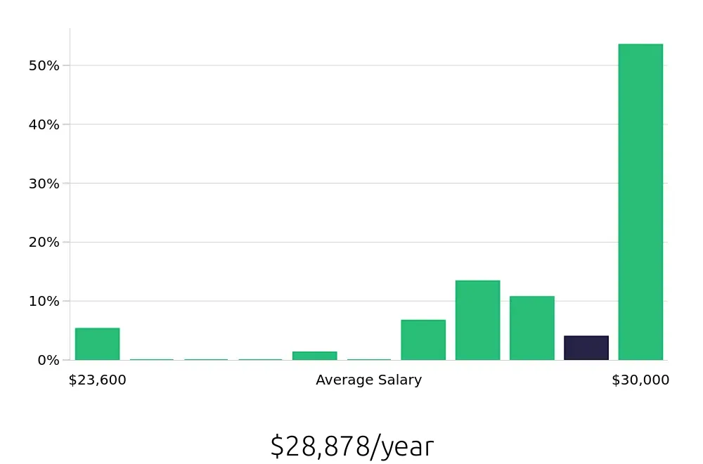 Graph depicting the yearly salary distribution for To Go Specialist jobs in Salem, NH, showing an average salary of $28,878 with varying distribution percentages across salary ranges.